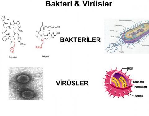 Virüs ve Bakterilerin Neden Olduğu Hastalıklar