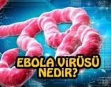 Ebola Virüsü Hakkýnda Bilgi